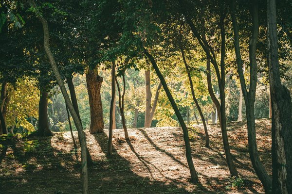 Transformez vos nuits : Intégrez le yoga du soir pour un sommeil réparateur !